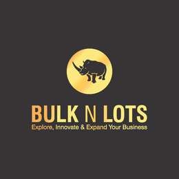 BULK N LOTS EXPLORE, INNOVATE & EXPAND YOUR BUSINESS trademark