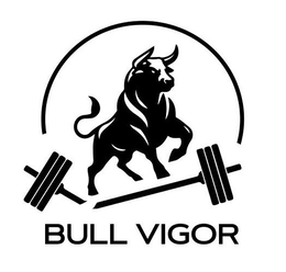 BULL VIGOR trademark