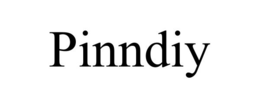 PINNDIY trademark