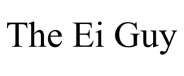 THE EI GUY trademark