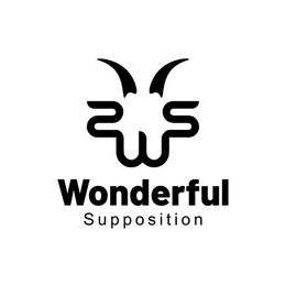 WONDERFUL SUPPOSITION trademark