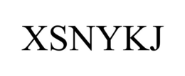 XSNYKJ trademark