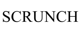 SCRUNCH trademark