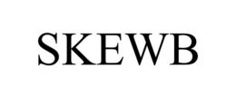 SKEWB trademark