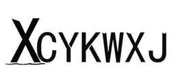 XCYKWXJ trademark