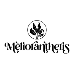 MELIORANTHERIS trademark
