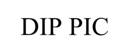 DIP PIC trademark
