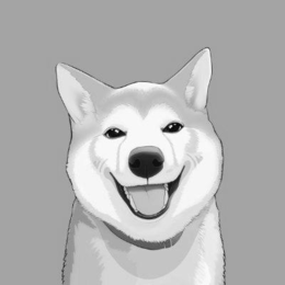 NEIRO trademark