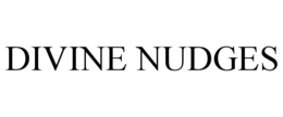 DIVINE NUDGES trademark