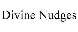 DIVINE NUDGES trademark