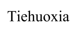 TIEHUOXIA trademark