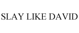SLAY LIKE DAVID trademark