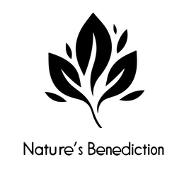 NATURE'S BENEDICTION trademark