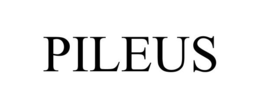 PILEUS trademark