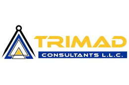 TRIMAD CONSULTANTS L.L.C. trademark