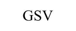 GSV trademark