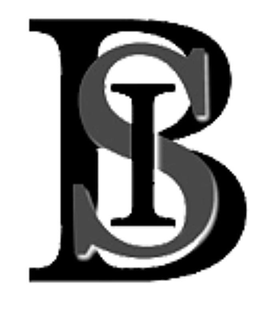 B S I trademark