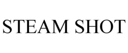 STEAM SHOT trademark