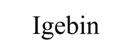 IGEBIN trademark