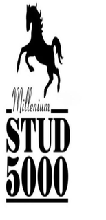 MILLENIUM STUD 5000 trademark