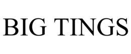 BIG TINGS trademark