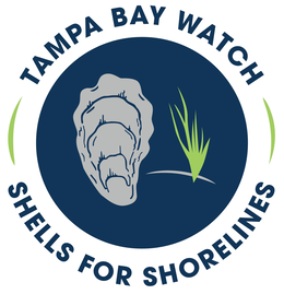 TAMPA BAY WATCH SHELLS FOR SHORELINES trademark