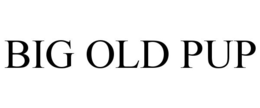 BIG OLD PUP trademark