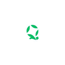 Q trademark