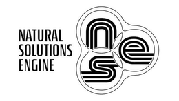 NATURAL SOLUTIONS ENGINE NSE trademark