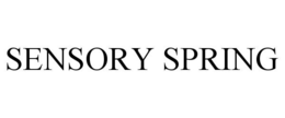 SENSORY SPRING trademark