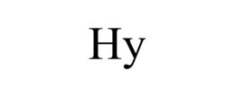 HY trademark