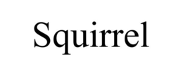 SQUIRREL trademark