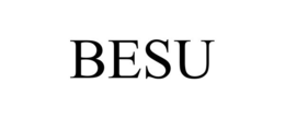 BESU trademark