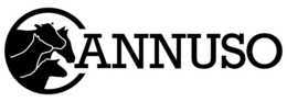 ANNUSO trademark