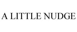 A LITTLE NUDGE trademark