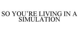 SO YOU'RE LIVING IN A SIMULATION trademark