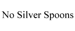 NO SILVER SPOONS trademark