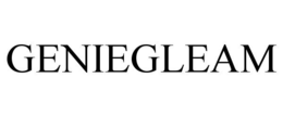 GENIEGLEAM trademark
