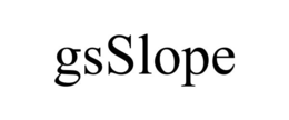 GSSLOPE trademark