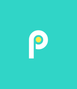 PP trademark