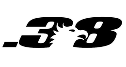 .38 trademark