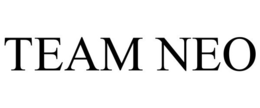 TEAM NEO trademark