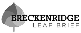 BRECKENRIDGE LEAF BRIEF trademark
