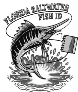 FLORIDA SALTWATER FISH ID trademark