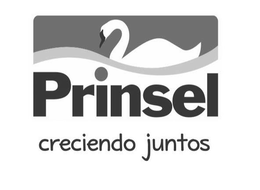 PRINSEL CRECIENDO JUNTOS trademark