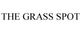 THE GRASS SPOT trademark