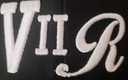 V I I R trademark
