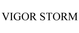 VIGOR STORM trademark