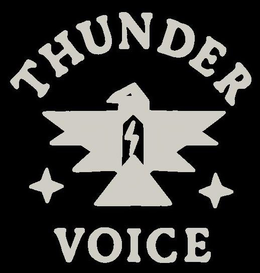 THUNDER VOICE trademark