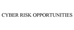 CYBER RISK OPPORTUNITIES trademark